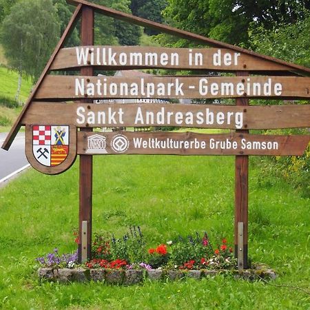 Apartment Harzblick -Neu Modernisiert- Sankt Andreasberg Exterior foto